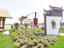 德阳月季，美丽绽放