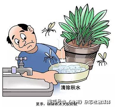 夏季猪场四害防治要点：蚊蝇鼠蟑