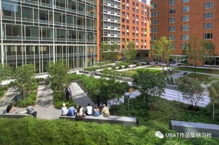 大学城街道景观设计， 那些年我们走过的风景