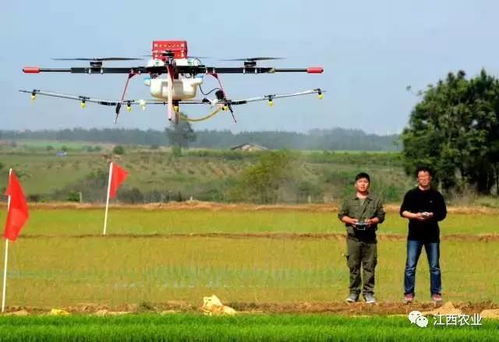 无人机喷洒农药，如何Zuo到均匀又不伤作物？