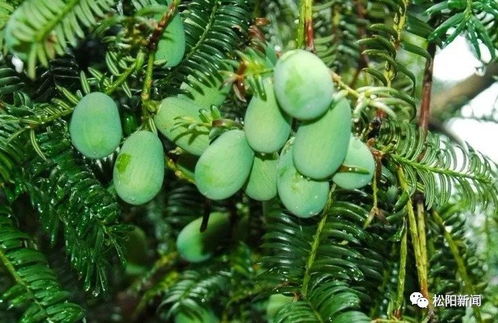 交通、时间、装备，注意事项