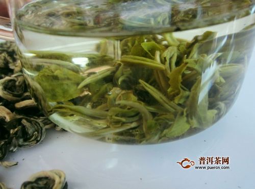 玉露茶，如何打造高品质茶园