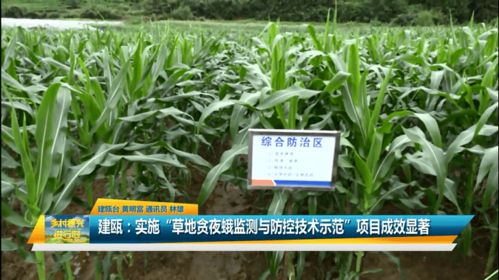 改过背阴四件套：打造理想种植环境