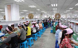 龙口市兴盛中药材种植专业合作社