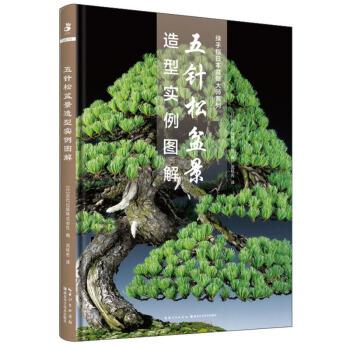 五针松盆景——美丽造型的秘密