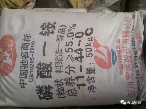 平安性？比吃瓜还平安