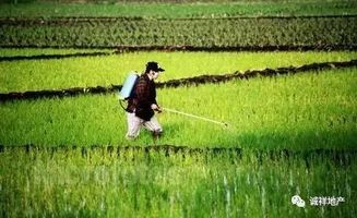 合理使用农药， 减少残留