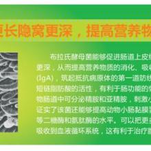 确保养殖环境清洁，饲料安全