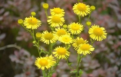 第三方检测，别轻信