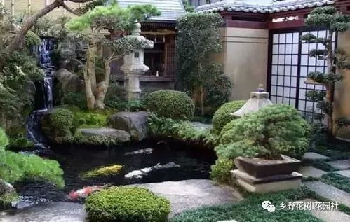 鱼池边种花要怎么选择呢？