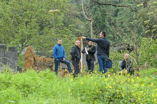 生物安全：农业养殖新防线