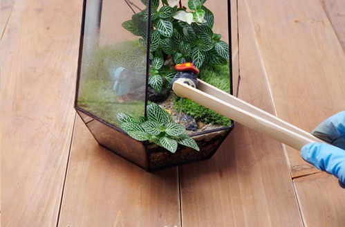 理解这些植物的季节性、 耐久性与色彩语言同样重要