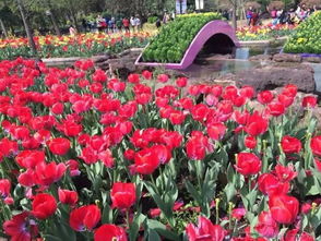 郴州植物园的宝藏