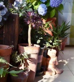 耐心照管， 常保美观