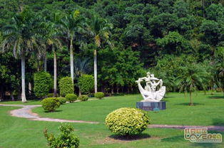 花草，那个五彩斑斓的小家伙