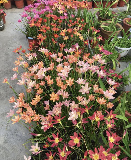 土壤问题也不Neng忽视