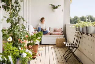 夜幕降临， 阳台上的小精灵们