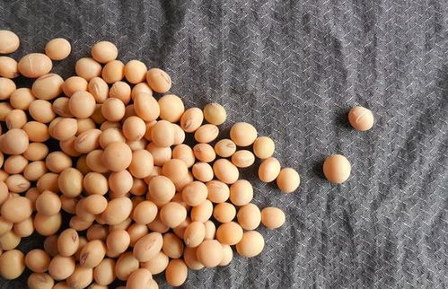 误区3：统一浸泡