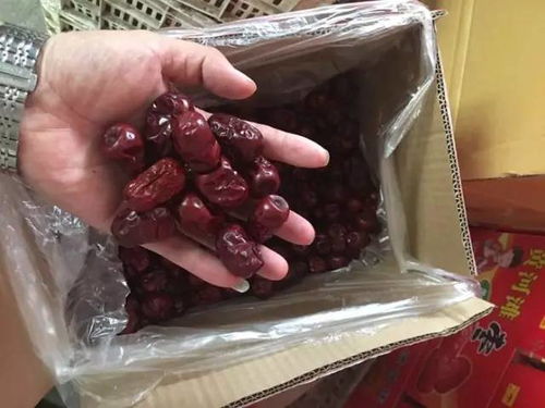 红枣打农药的好处探讨