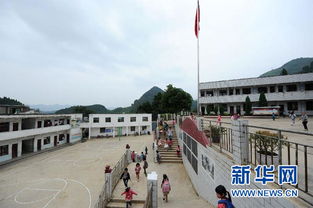 中山南区农药厂的传奇故事