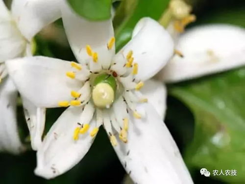 使用方法要记牢