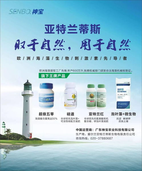 蔬菜流通成本与有机蔬菜