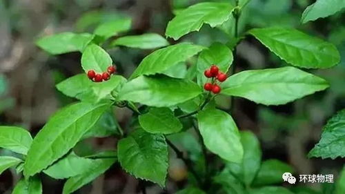 2. 科学施药， 避免残留