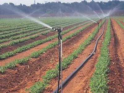 喷洒量：怎么控制这个“水量”？