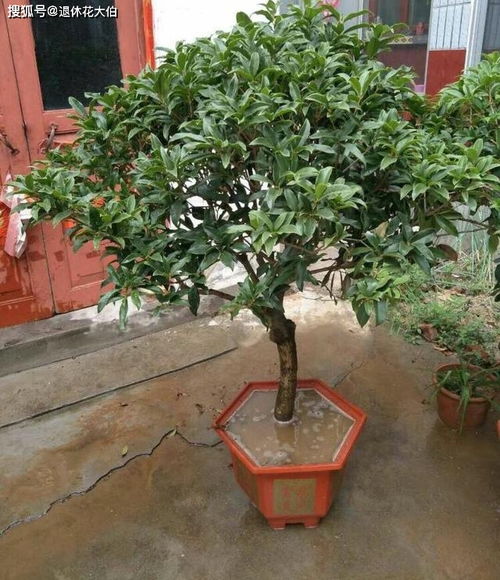 夏季高温， 要忒别注意