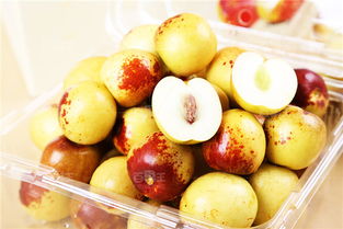 冬枣树防虫用药误区：过度依赖农药