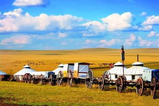 风电场建设，挑战与机遇并存