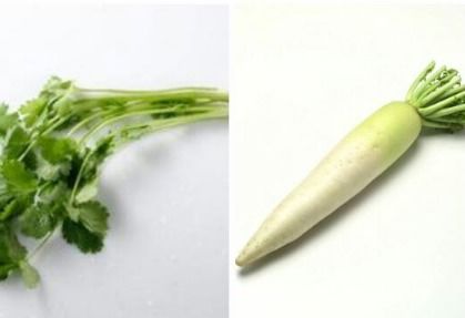 2. 芦苇根：民间免费的退烧草药