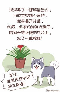 “如何让家人停止养花？”