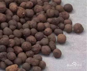 多菌灵：防治各种菌害的好手