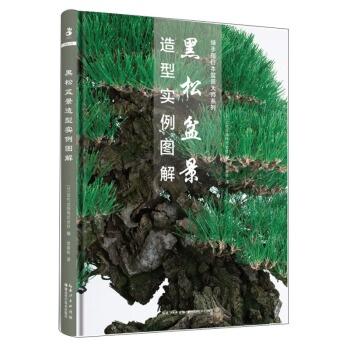 黑松盆景造型分为哪几个步骤？