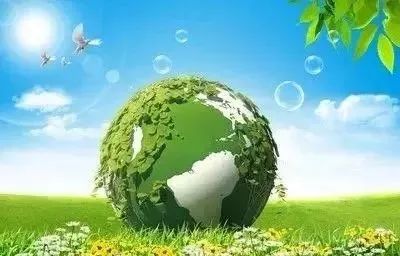 1500㎡草皮报价为何相差3万？揭秘5年采购老手费用黑洞，教你如何省下1.8万！