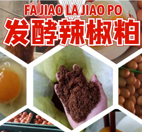 1月24日豆粕发酵喂养方法中，豆粕发酵饲料如何提高猪的消化吸收率？