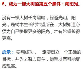 站桩的正确姿势，就像树深根静立之道