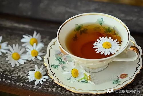 菊花茶哪种效果最好？行内人推荐这几种给你