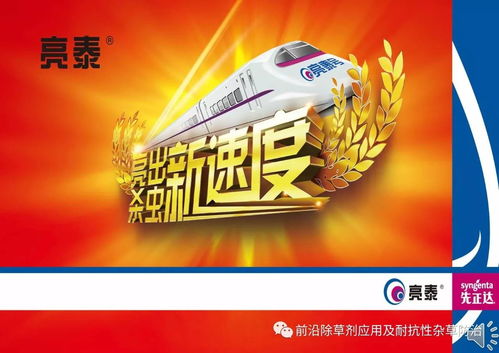 宝剑与亮泰：谁是你的“江湖侠客”？