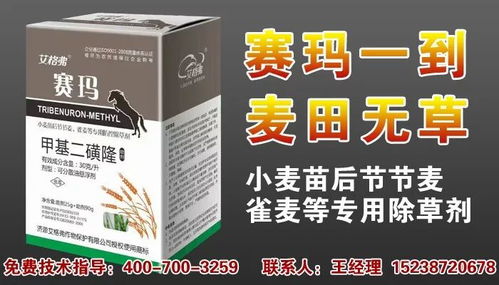 绢雀麦， 抗药性大，得特别注意