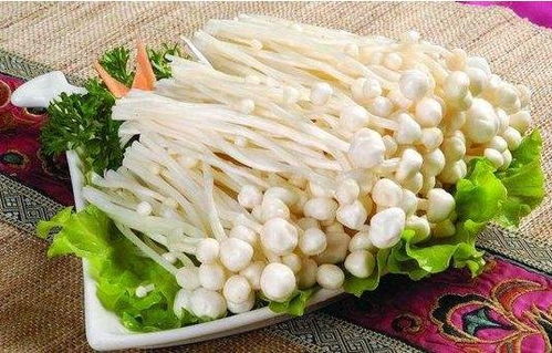 金针菇细菌污染：金针菇在生长、储存、加工过程中易受细菌污染