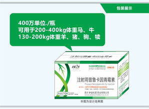 长效青霉素240万单位一支多少钱？