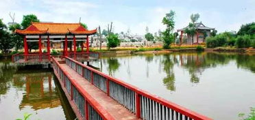 西湖边的绿茵茵