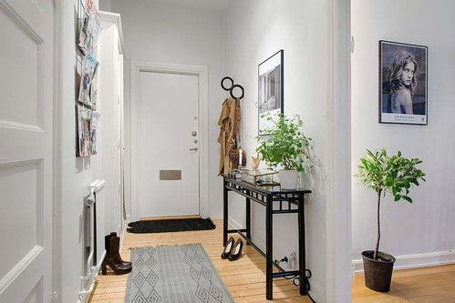 玄关植物要耐阴、 抗温差、净化空气