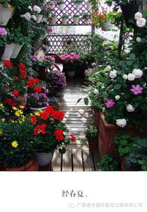 时间沉淀，回味无穷