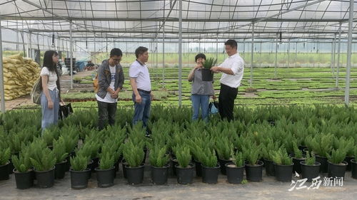 腾冲中和提子种植技术突破，喜获丰收