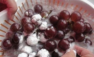 如何有效去除樱桃上的农药残留？