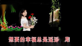 玫瑰：红颜知己