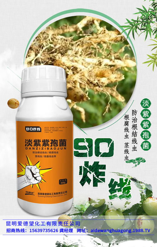 高粱黏虫，我恨你！